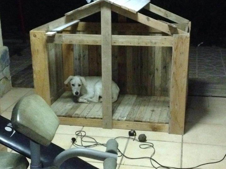 DIY Tutorial: How to Build a Pallet Dog House? - Easy 