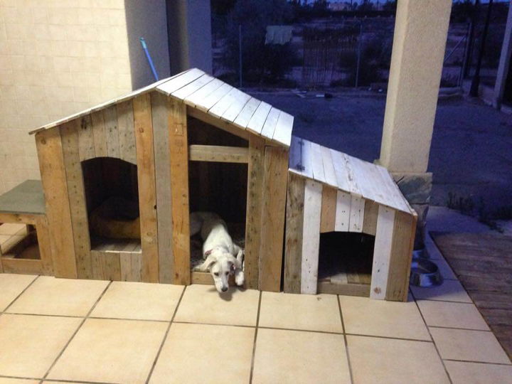 building a dog kennel out of pallets