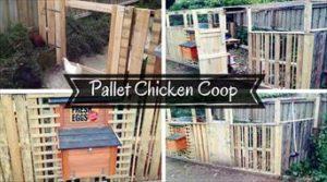 Diy Pallet Chicken Coop Or Hen House Easy Pallet Ideas