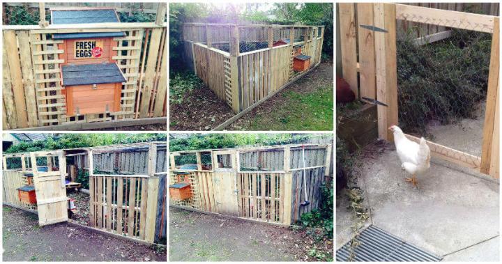 Diy Pallet Chicken Coop Or Hen House Easy Pallet Ideas