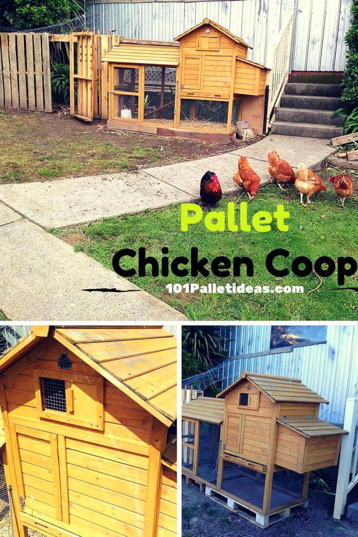 Wood Pallet Chicken Coop Easy Pallet Ideas