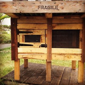 Pallet Chicken Coop - Wooden Rabbit Hutch - Easy Pallet Ideas