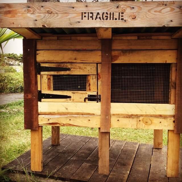 recycled pallet chicken coop