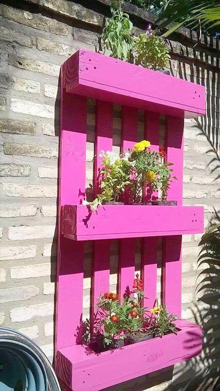 low-cost wooden pallet wall planter shelf