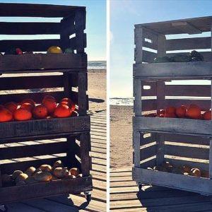 DIY Creative Projects with Pallets