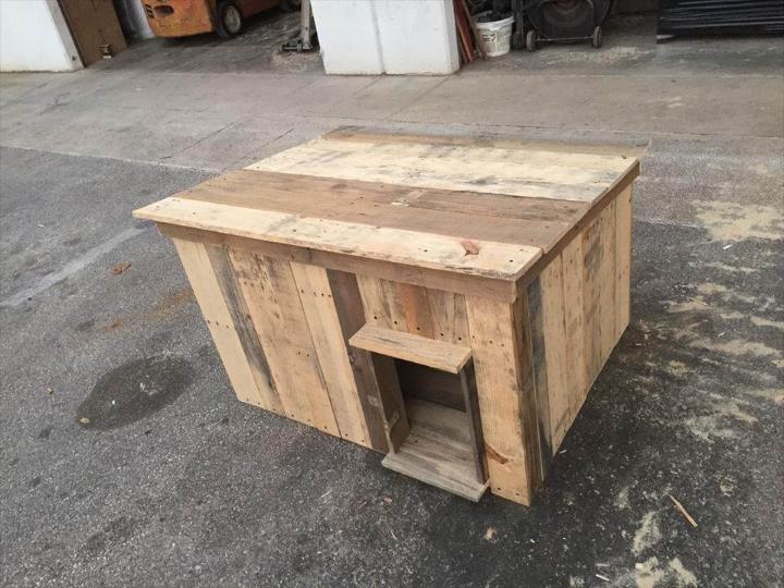 Recycled pallet dog house
