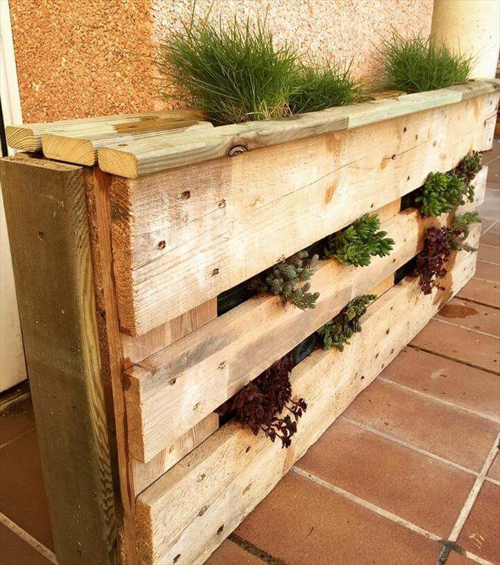 wooden pallet planter