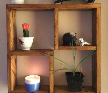 no-cost wooden pallet display shelf