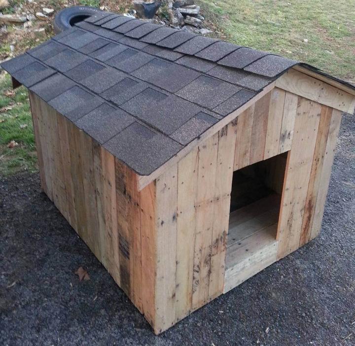 handmade pallet dog kennel