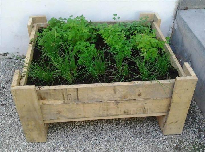 planter made of pallets