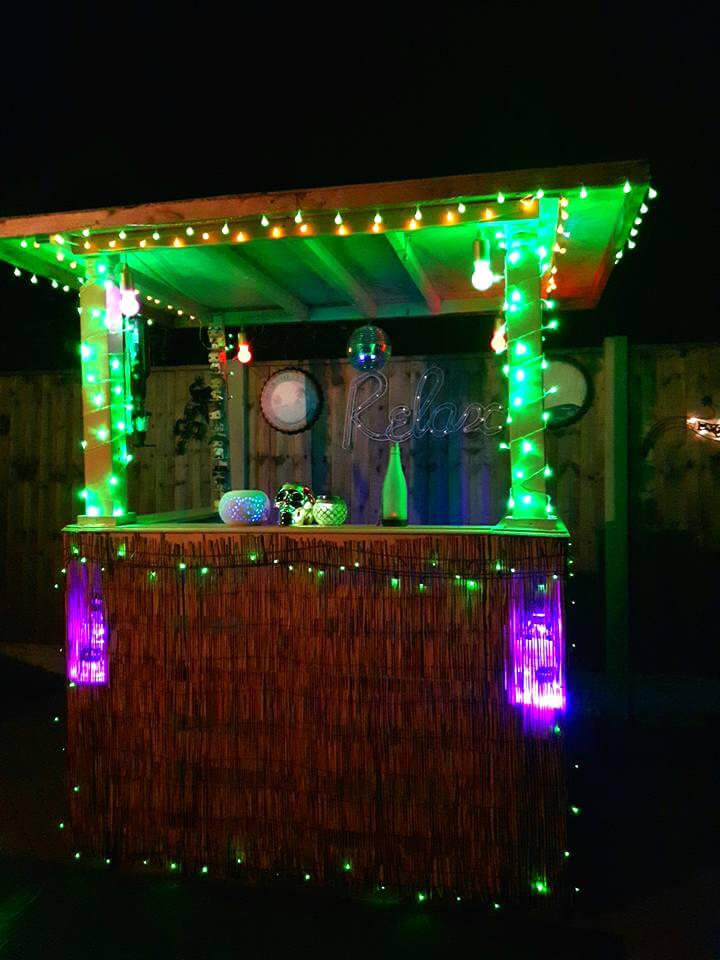 pallet bar with green and purple lights
