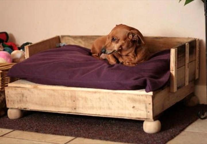 simple dog bed