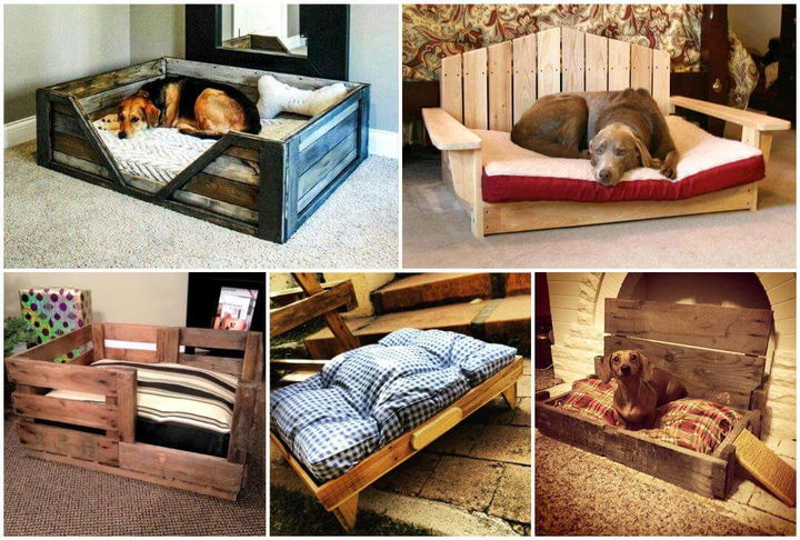 rustic dog bed ideas