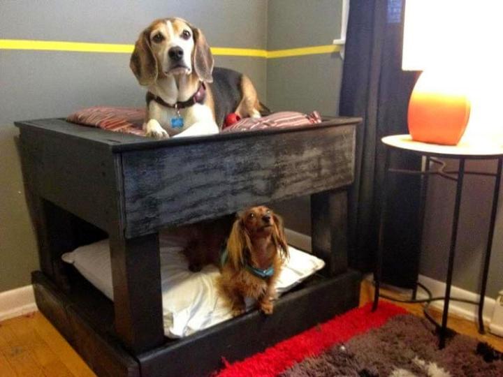 diy black stained pallet dog bunk bed