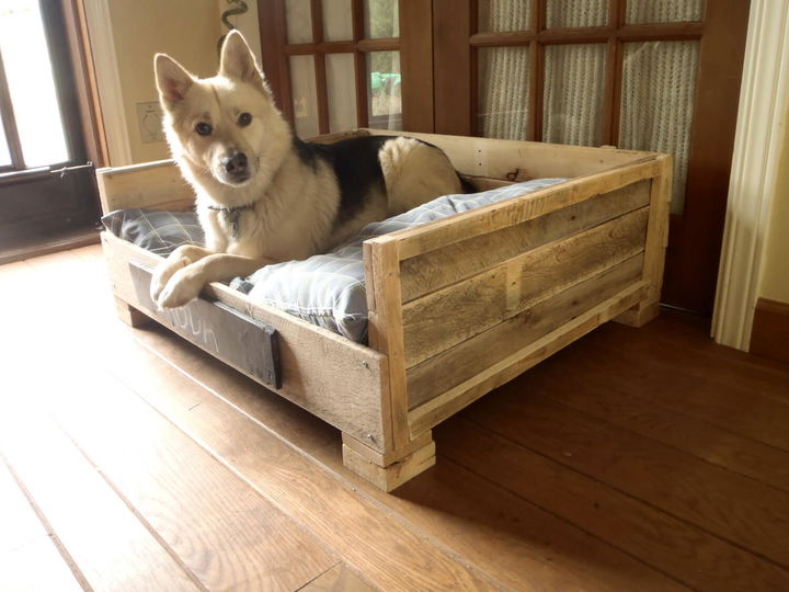 Making a dog bed out of pallets hotsell