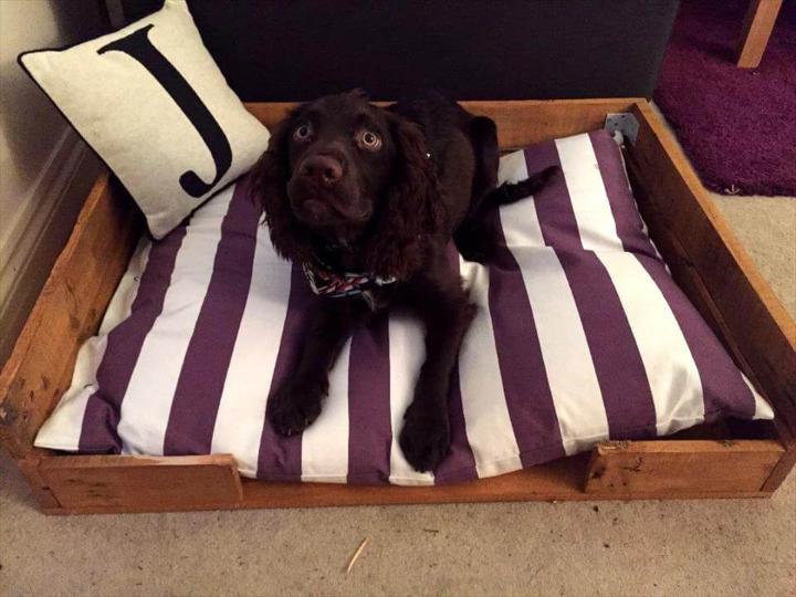 slim low pallet dog bed