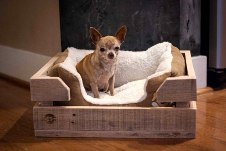 no cost pallet puppy bed