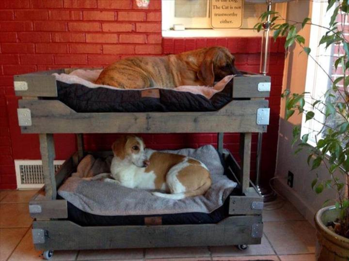 rustic grey pallet dog bunk bed