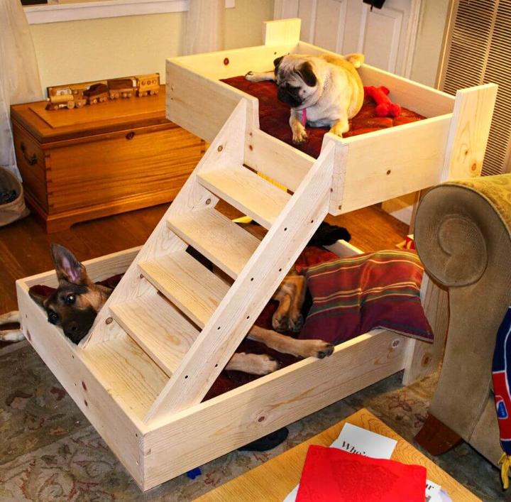 Dog Ramp For Loft Bed Free Delivery, How To Build Dog Bunk Beds