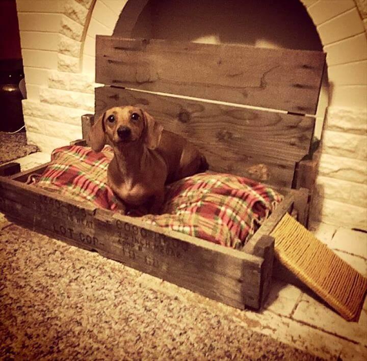 rustic wooden pallet dog bed