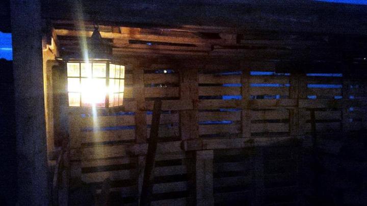 study wooden palelt firewood shed