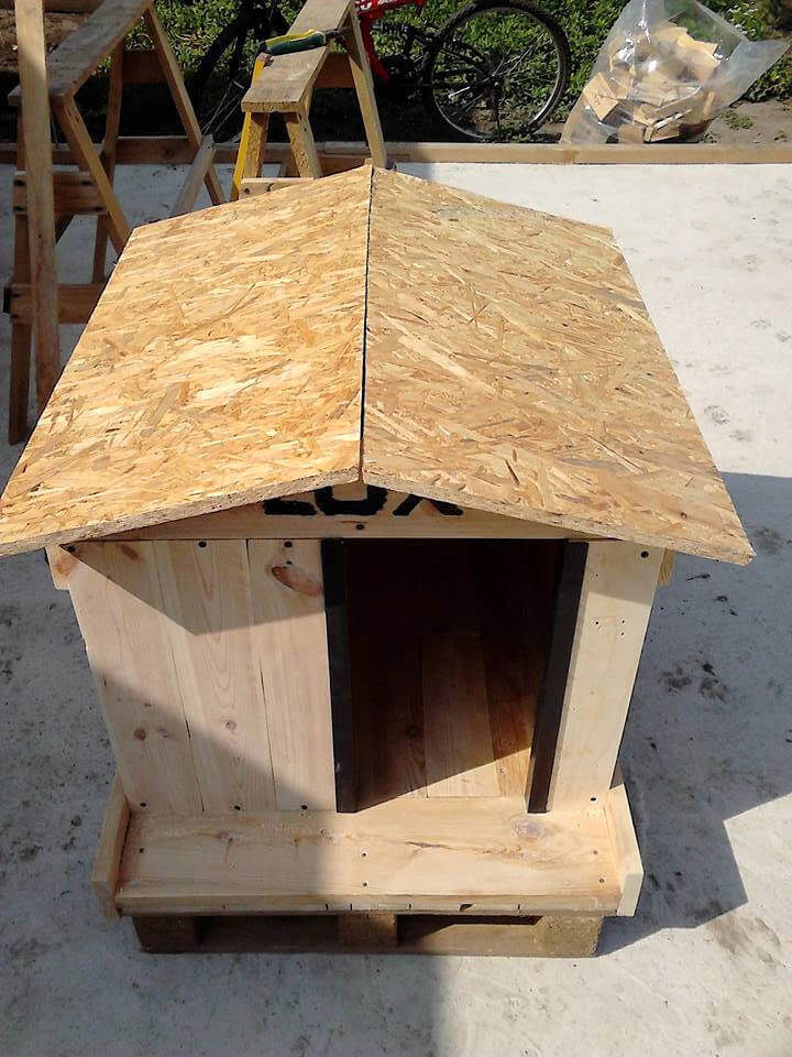 How To Build A Cool Pallet Dog House Easy Pallet Ideas