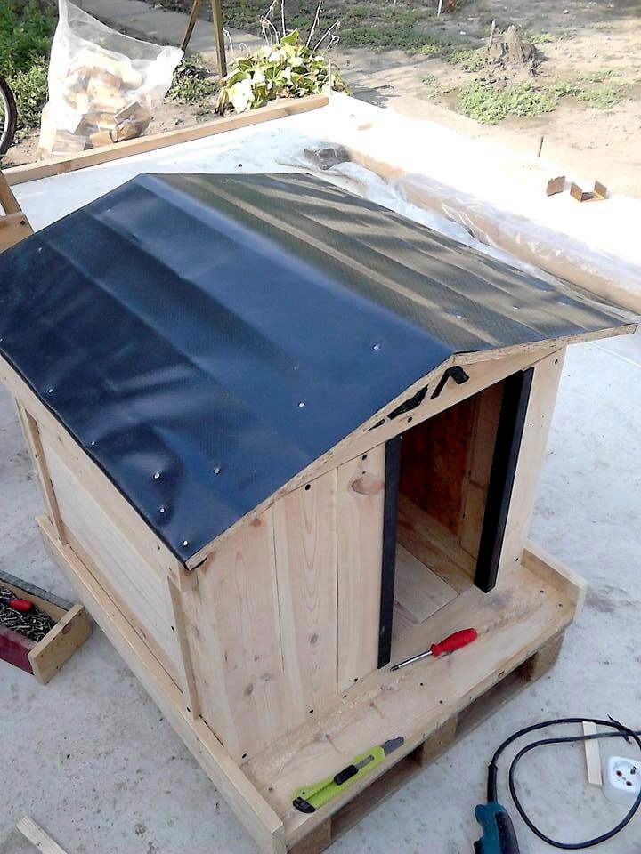 How to Build A Cool Pallet Dog House - Easy Pallet Ideas