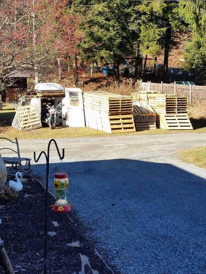 pallet bike shed with tilted metal roof - easy pallet ideas