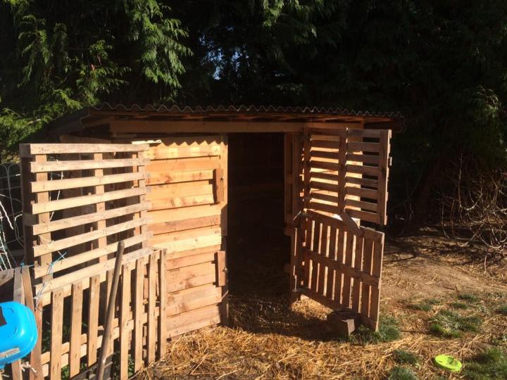 wooden pallet shed and animal fence project