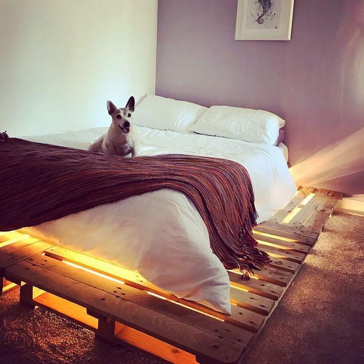 pallet bed with lights