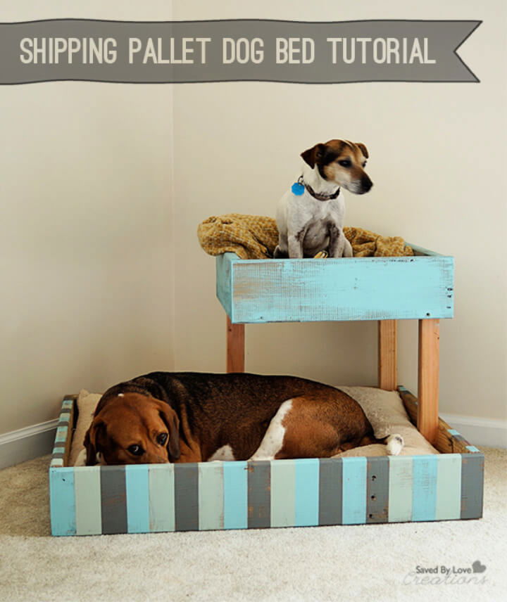 Build Shipping Pallet Dog Bed