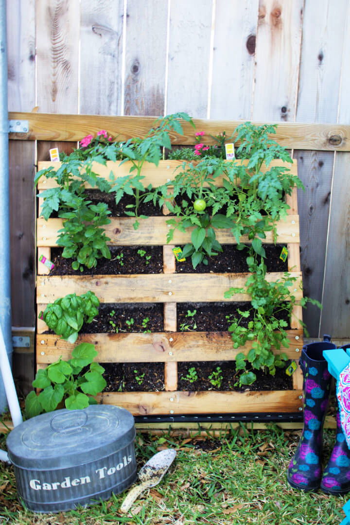 DIY Vertical Pallet Vegetable and Herb Garden