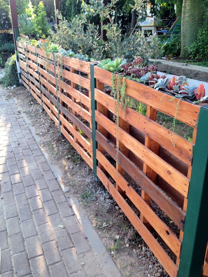 Outdoor Pallet Succulent Fence