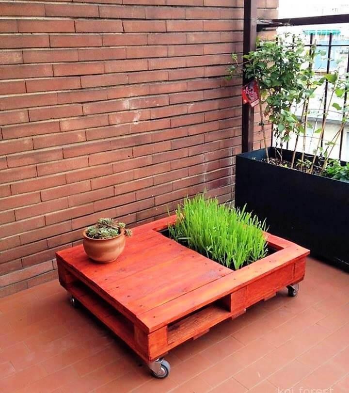Pallet Coffee Table With Mini Garden