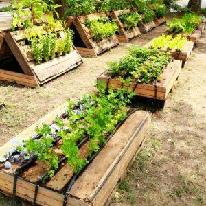 Perfect Raised Garden Beds Made out of Pallets